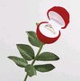 Ringen-doosje-(roos)
